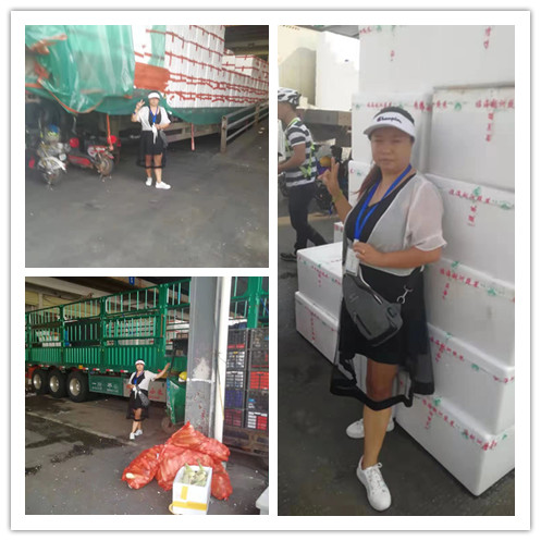 首页| PA视讯集团中国官方网站