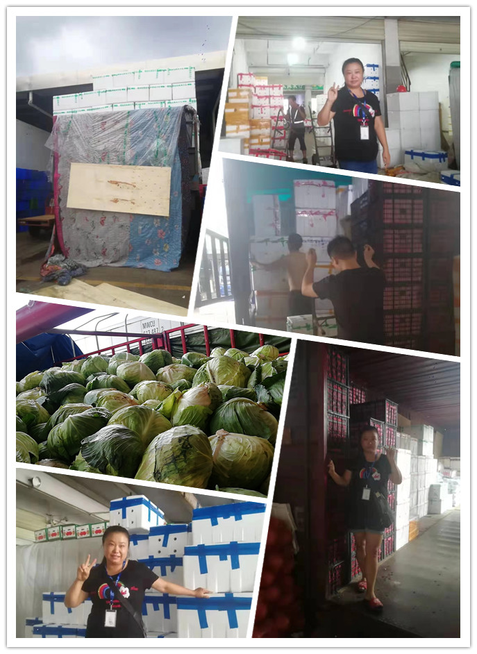 首页| PA视讯集团中国官方网站