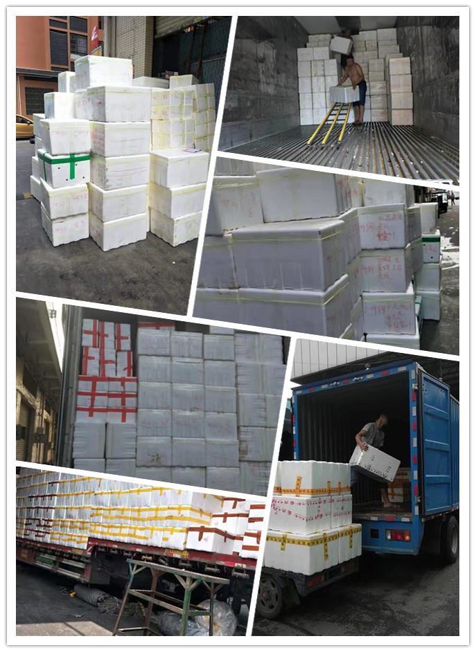 首页| PA视讯集团中国官方网站