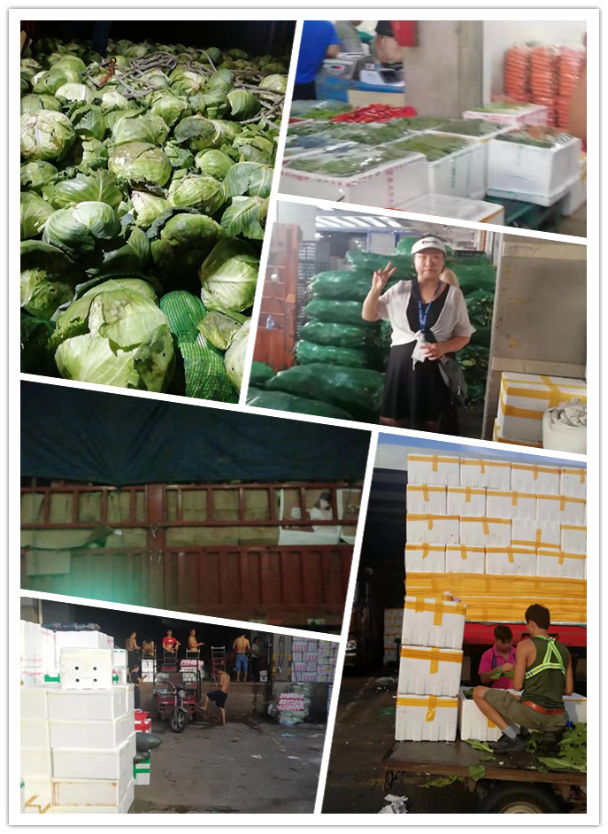 首页| PA视讯集团中国官方网站