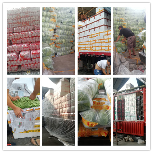 首页| PA视讯集团中国官方网站