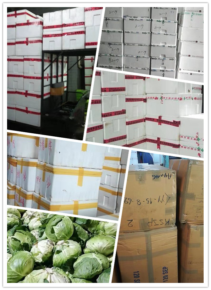 首页| PA视讯集团中国官方网站