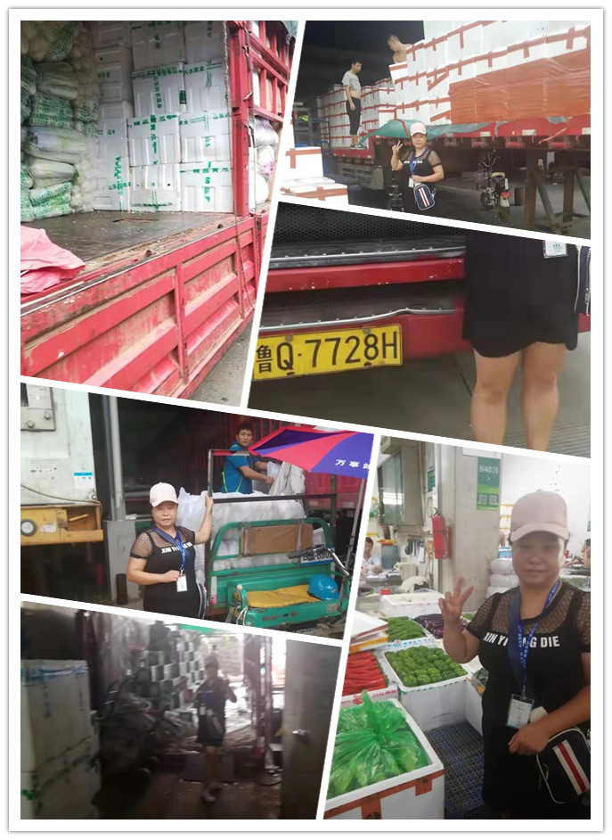 首页| PA视讯集团中国官方网站