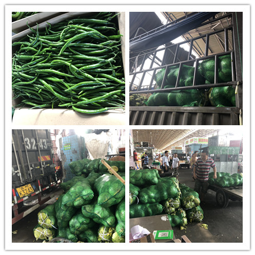 首页| PA视讯集团中国官方网站