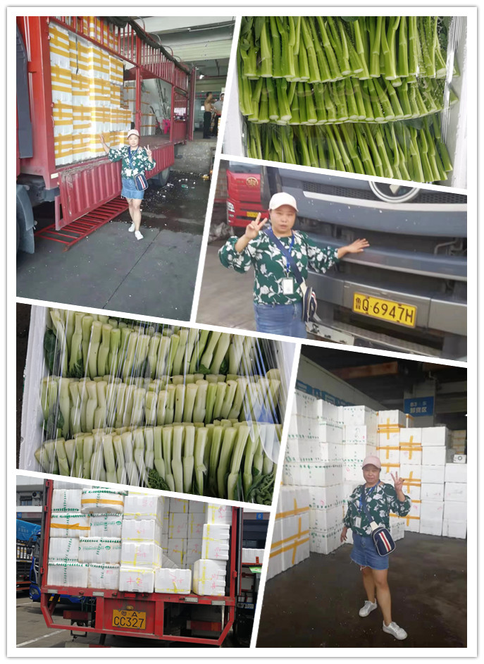 首页| PA视讯集团中国官方网站