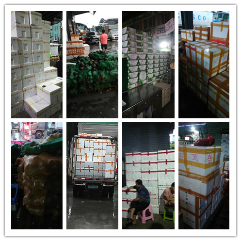 首页| PA视讯集团中国官方网站