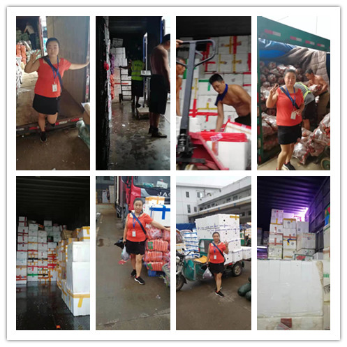 首页| PA视讯集团中国官方网站