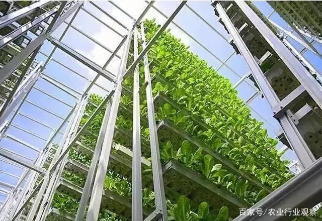 首页| PA视讯集团中国官方网站