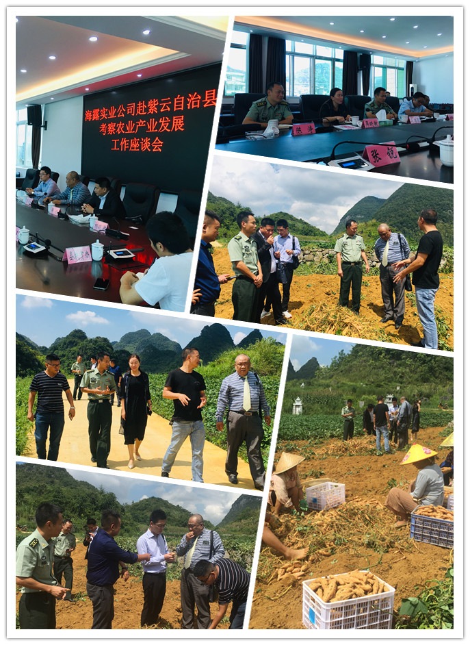 首页| PA视讯集团中国官方网站