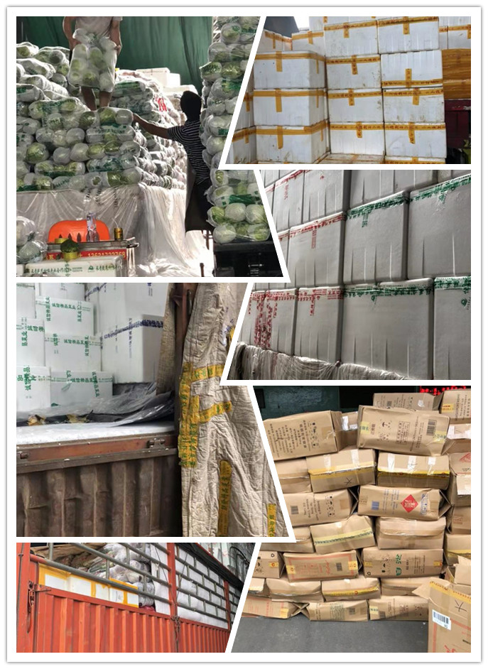 首页| PA视讯集团中国官方网站