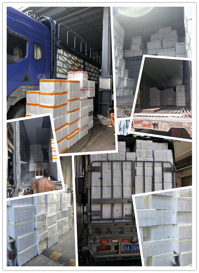 首页| PA视讯集团中国官方网站