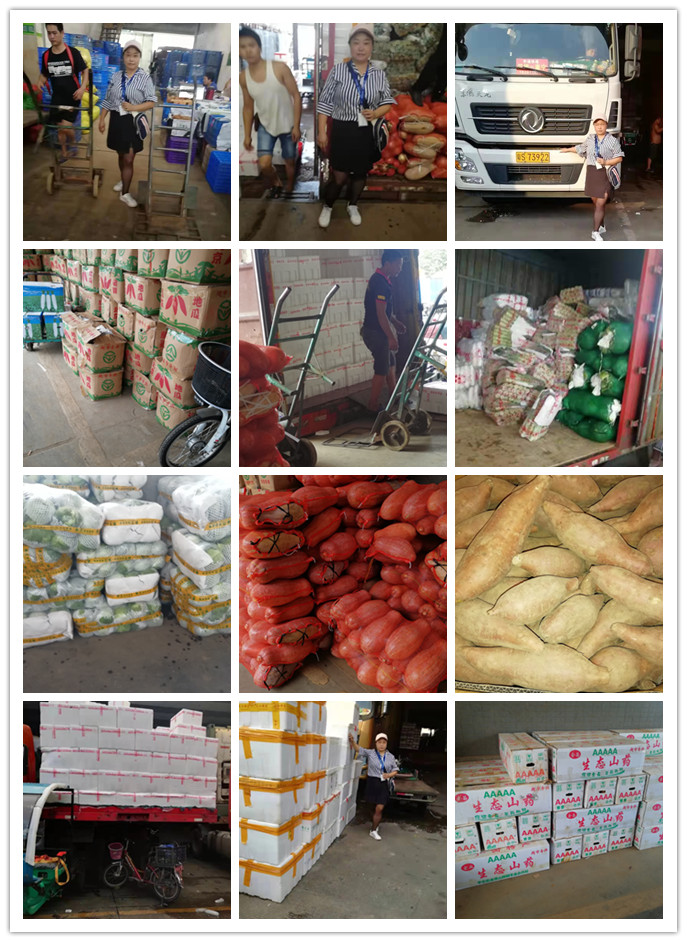 首页| PA视讯集团中国官方网站