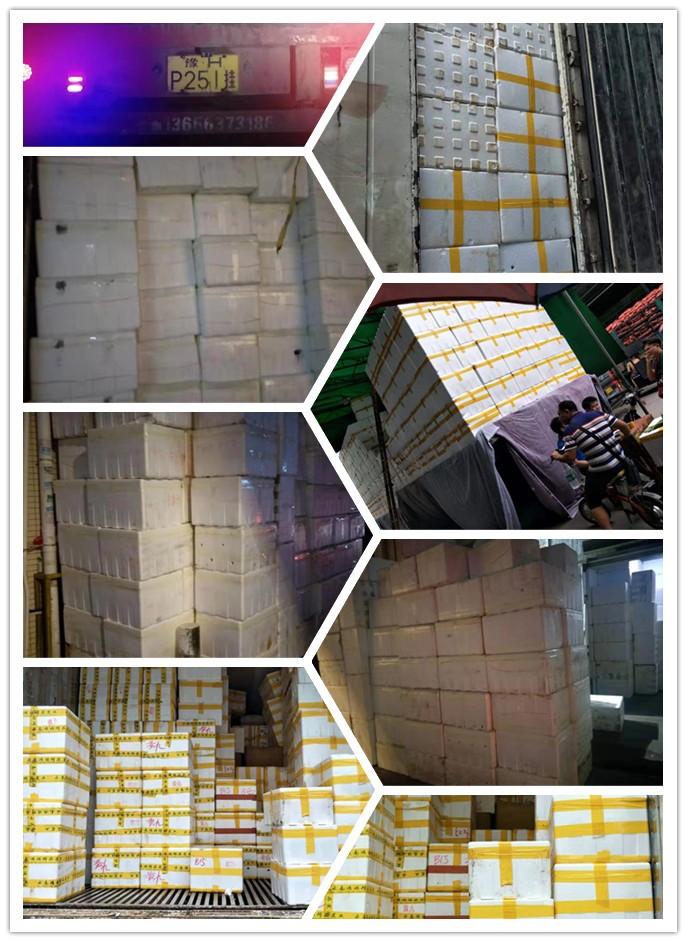 首页| PA视讯集团中国官方网站