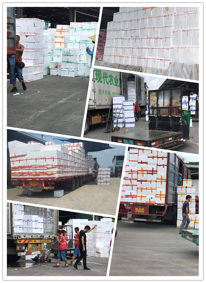 首页| PA视讯集团中国官方网站