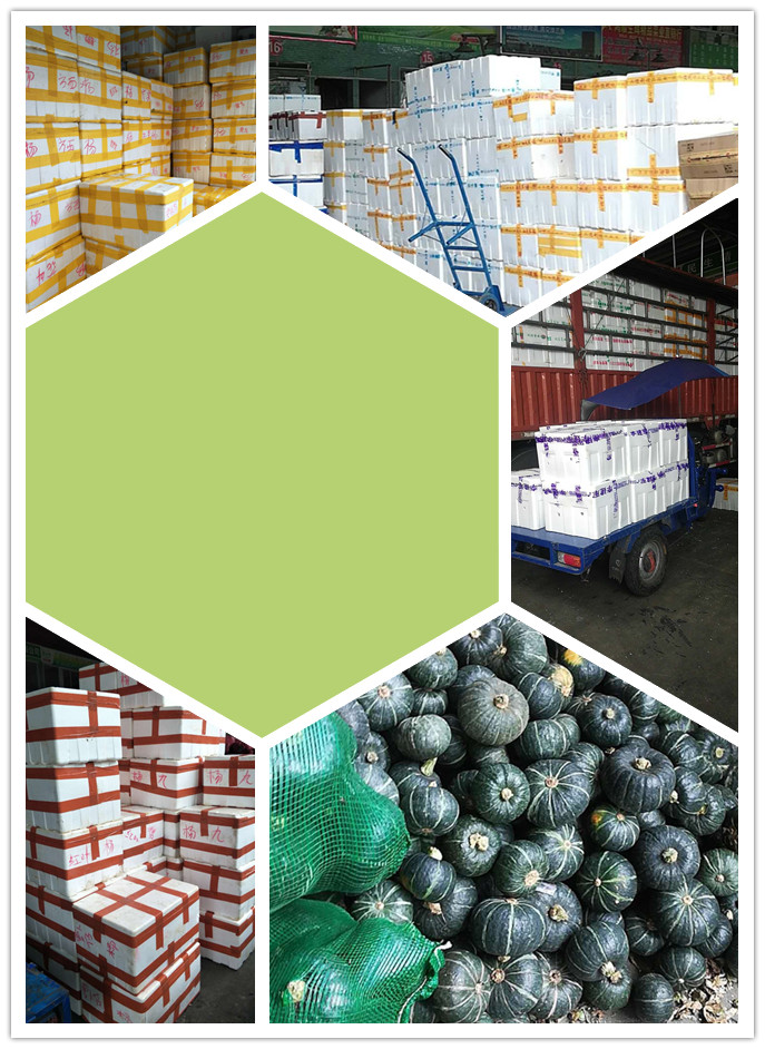 首页| PA视讯集团中国官方网站