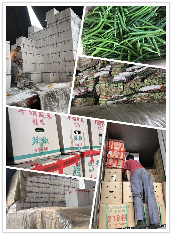 首页| PA视讯集团中国官方网站