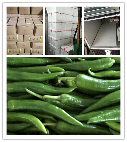 首页| PA视讯集团中国官方网站