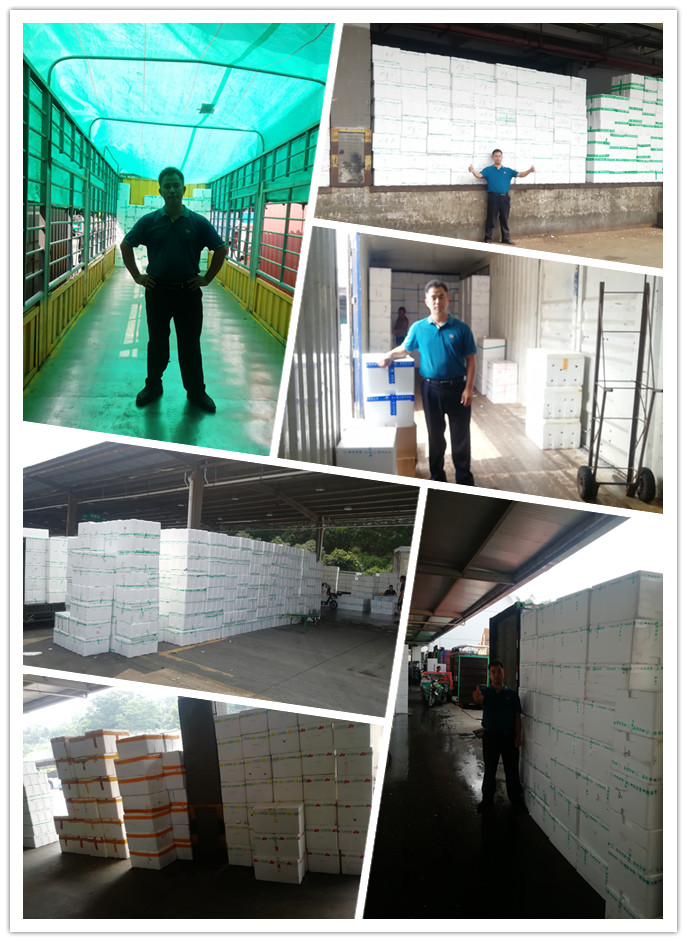 首页| PA视讯集团中国官方网站