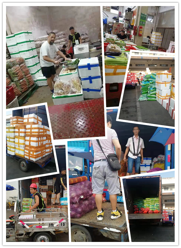 首页| PA视讯集团中国官方网站