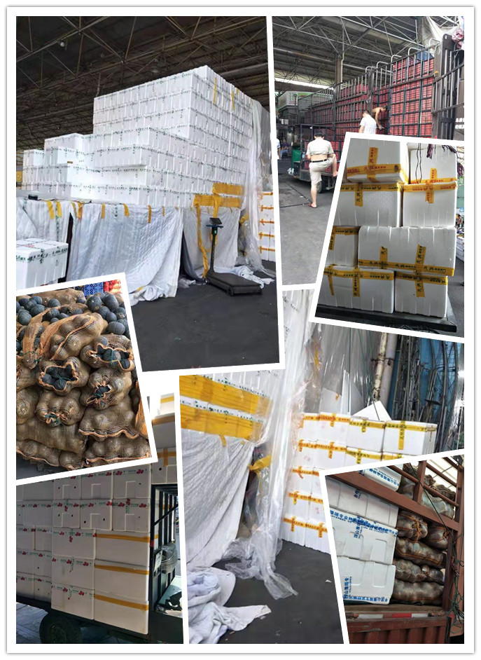 首页| PA视讯集团中国官方网站