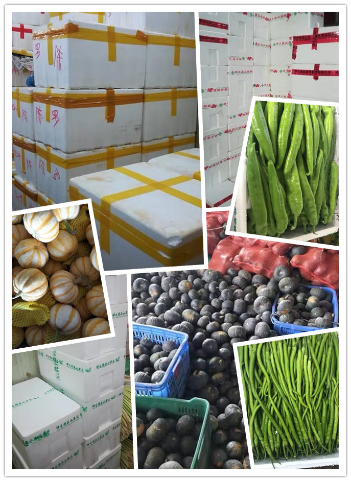 首页| PA视讯集团中国官方网站