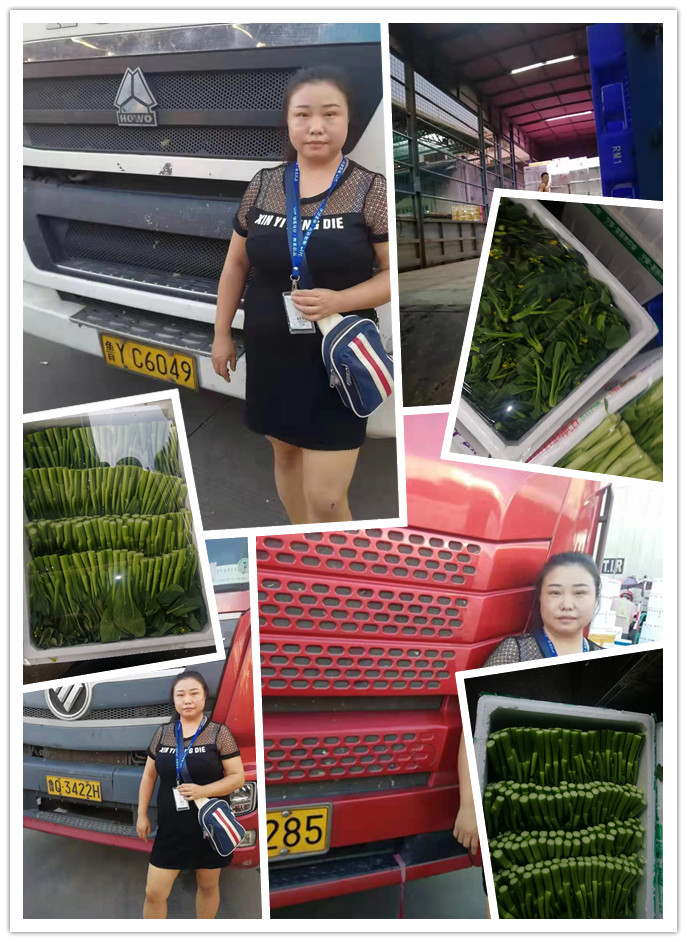 首页| PA视讯集团中国官方网站