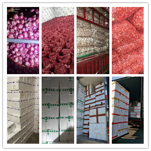 首页| PA视讯集团中国官方网站