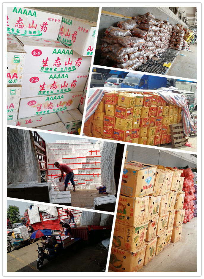 首页| PA视讯集团中国官方网站