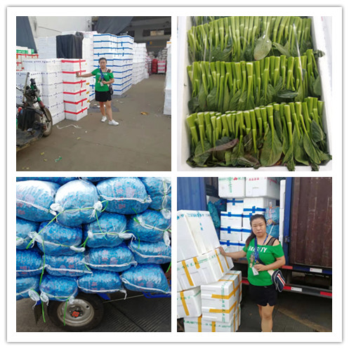 首页| PA视讯集团中国官方网站