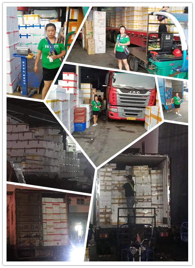 首页| PA视讯集团中国官方网站