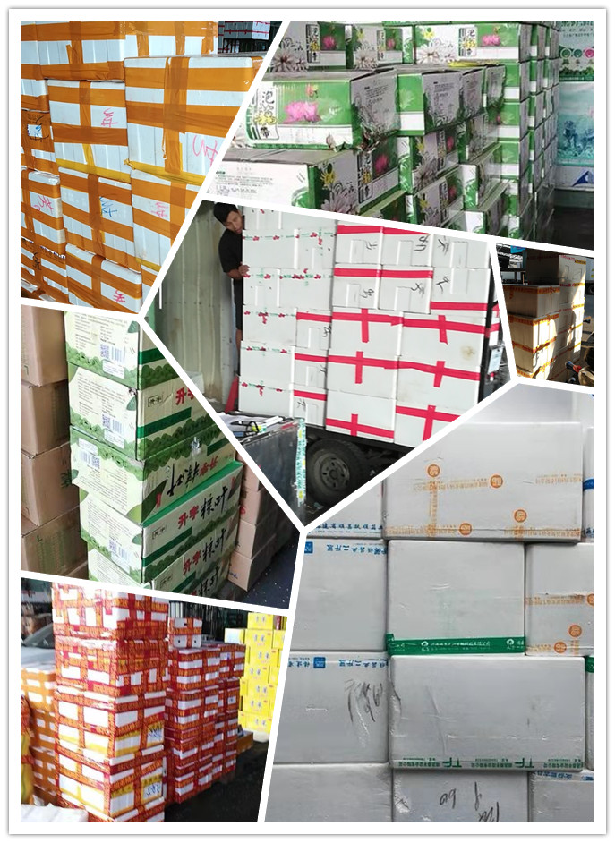 首页| PA视讯集团中国官方网站