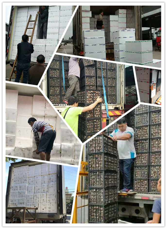 首页| PA视讯集团中国官方网站