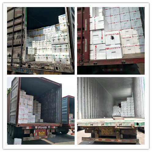 首页| PA视讯集团中国官方网站