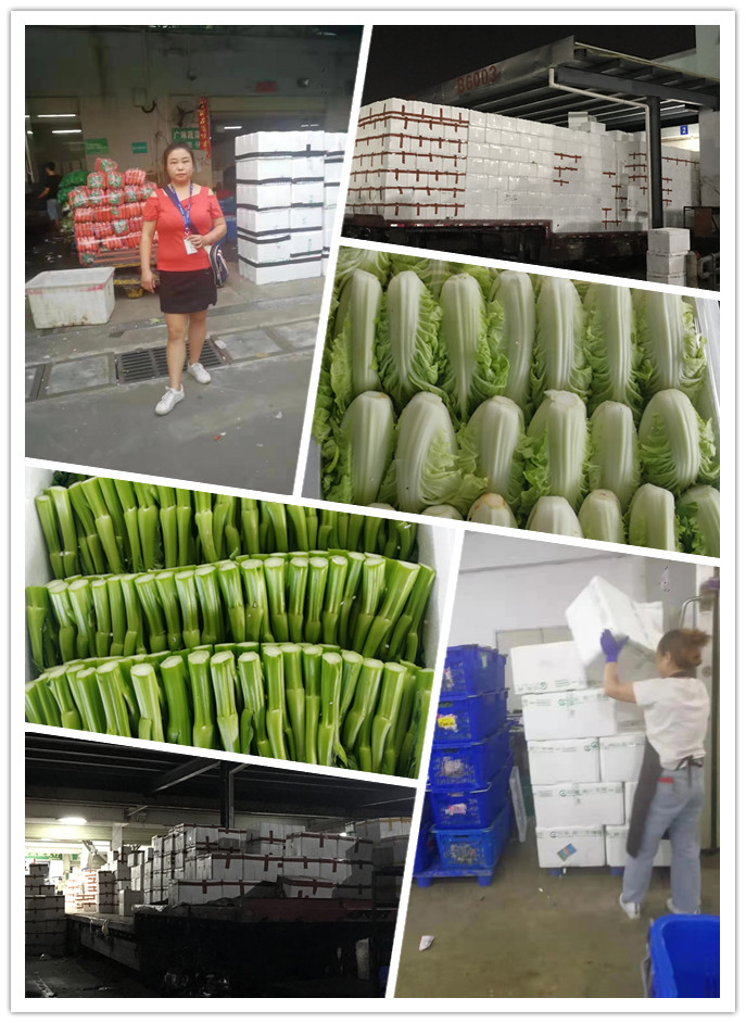 首页| PA视讯集团中国官方网站