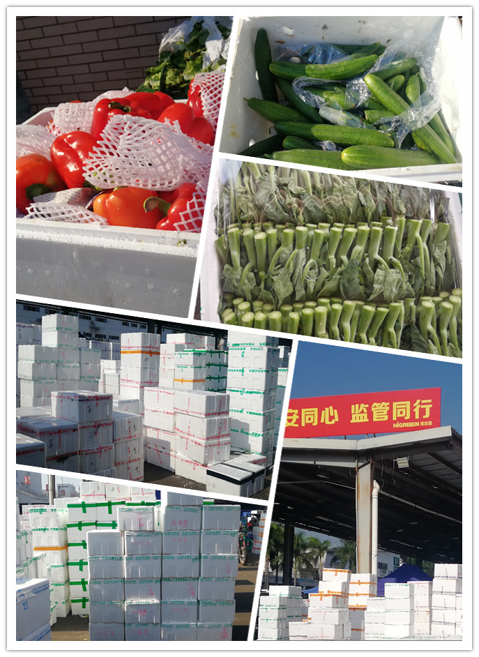 首页| PA视讯集团中国官方网站