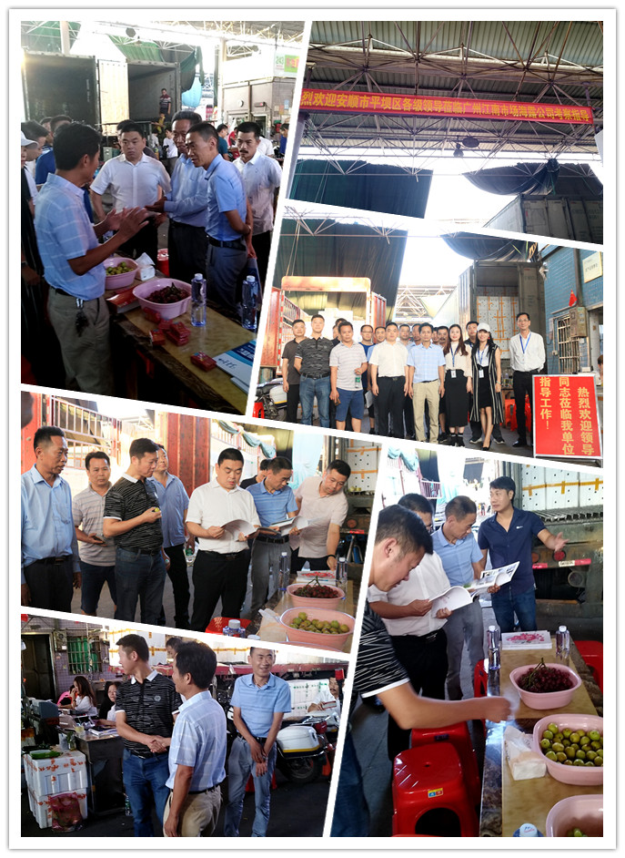 首页| PA视讯集团中国官方网站