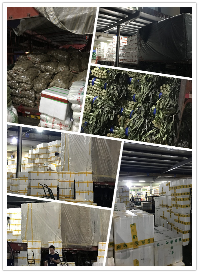 首页| PA视讯集团中国官方网站