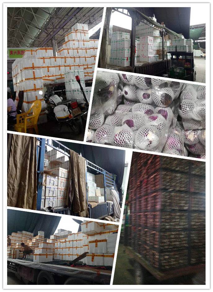 首页| PA视讯集团中国官方网站