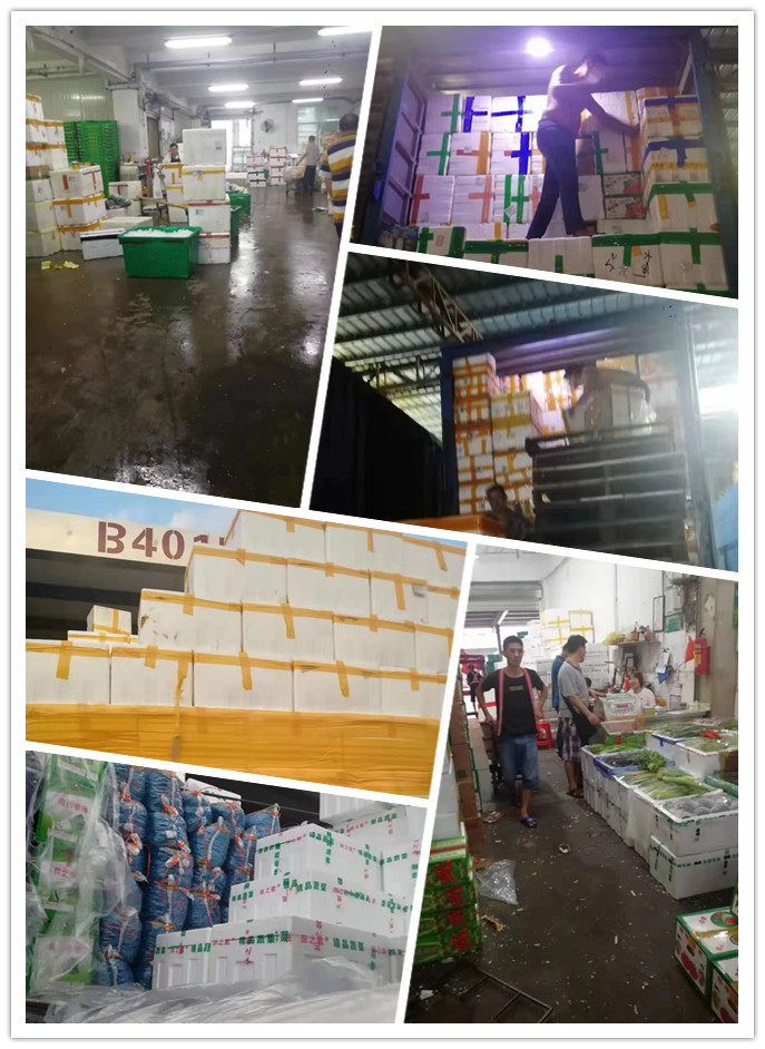 首页| PA视讯集团中国官方网站