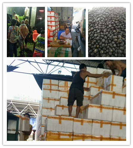 首页| PA视讯集团中国官方网站