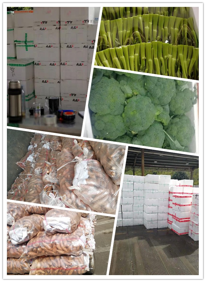 首页| PA视讯集团中国官方网站