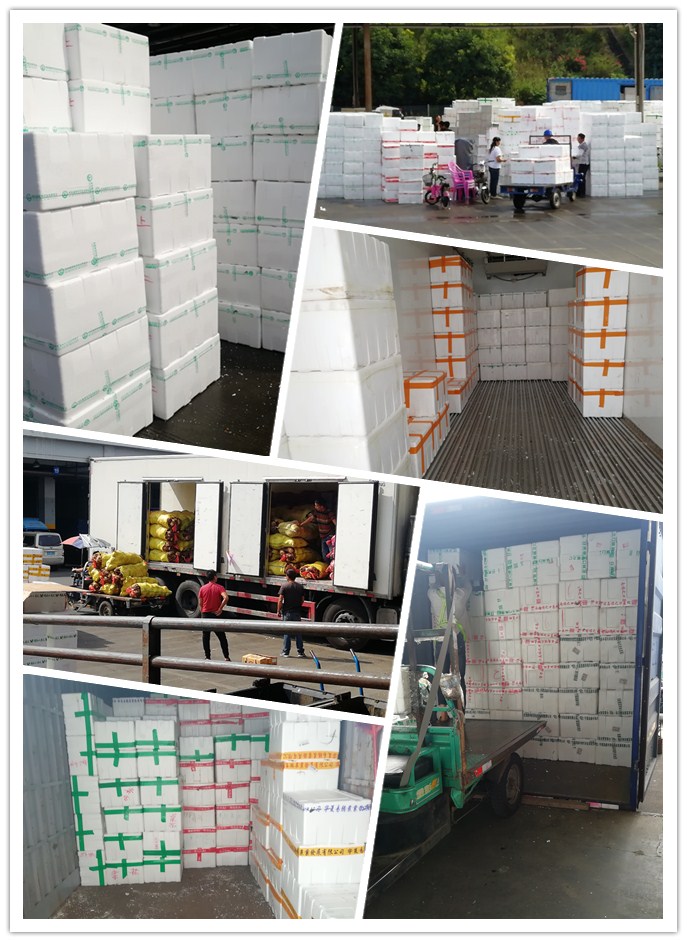 首页| PA视讯集团中国官方网站