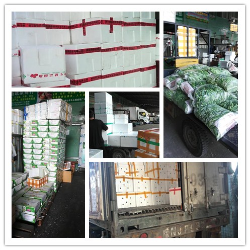 首页| PA视讯集团中国官方网站