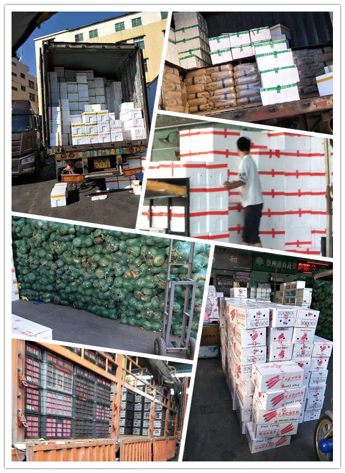 首页| PA视讯集团中国官方网站