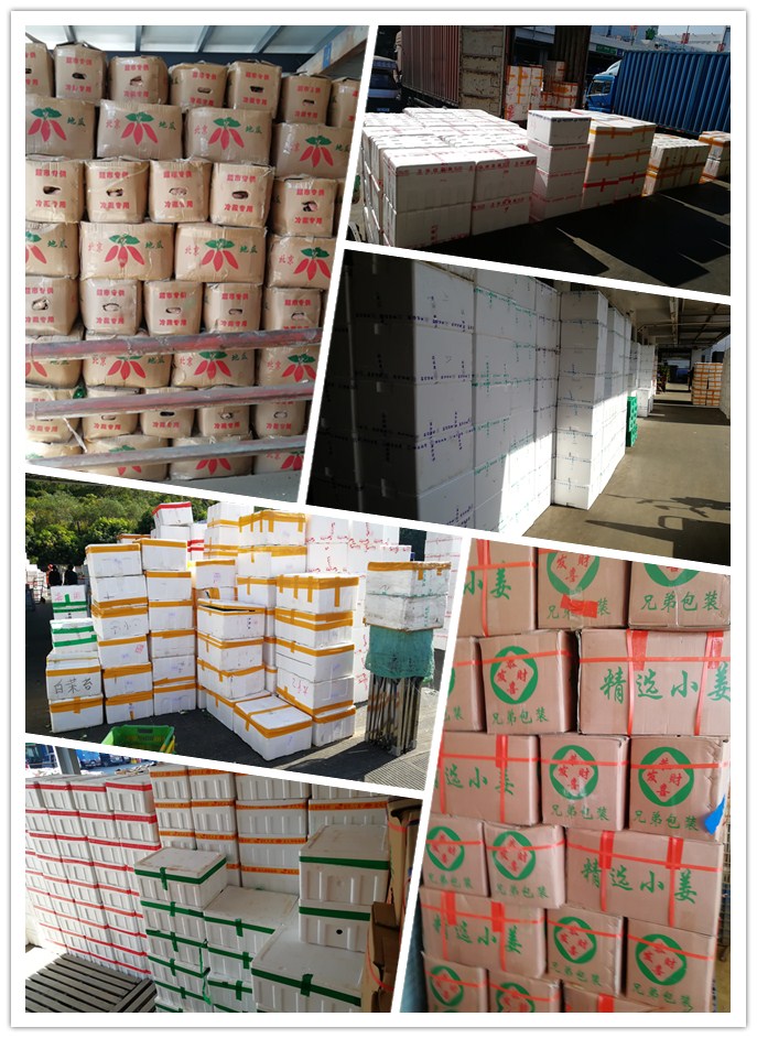 首页| PA视讯集团中国官方网站