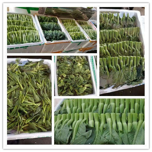 首页| PA视讯集团中国官方网站