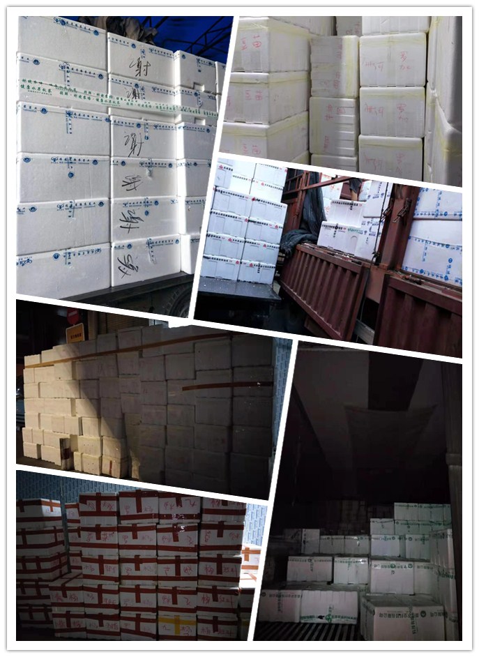 首页| PA视讯集团中国官方网站