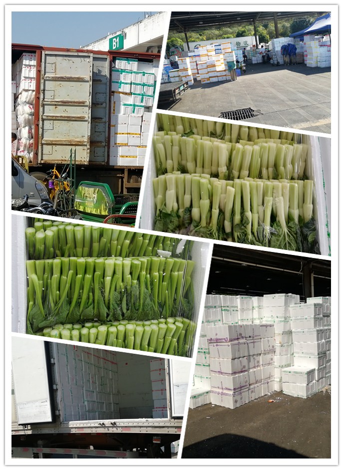 首页| PA视讯集团中国官方网站