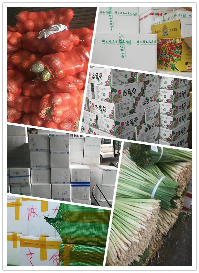 首页| PA视讯集团中国官方网站