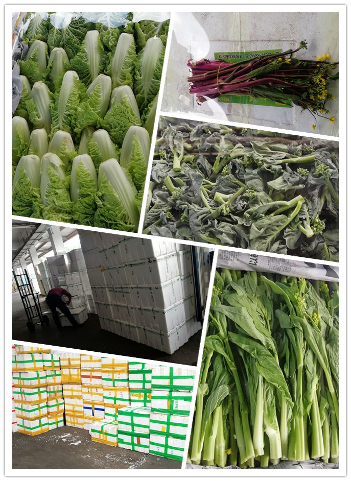 首页| PA视讯集团中国官方网站